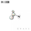 IMPLANT GRADE TITANIUM THREADLESS (PUSH IN) ROUND SYNTHETIC