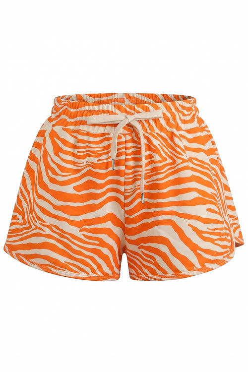 Zebra Dolphin Shorts
