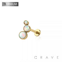 IMPLANT GRADE TITANIUM THREADLESS (PUSH IN) ROUND SYNTHETIC