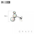 IMPLANT GRADE TITANIUM THREADLESS (PUSH IN) ROUND SYNTHETIC